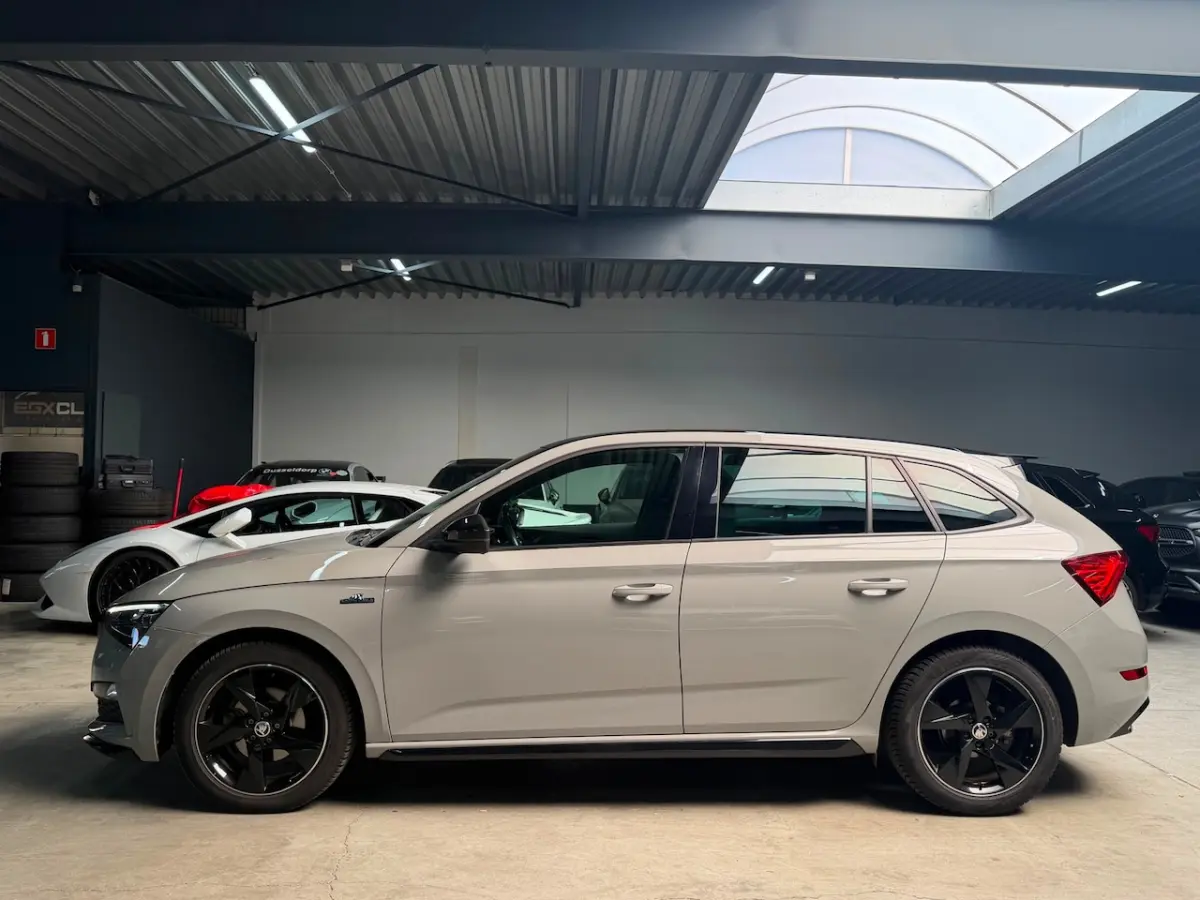 1.5 TSI Business Edition MONTE CARLO|ACC|CRYSTAL LIGHTING|GLAZEN DAK|PDC|