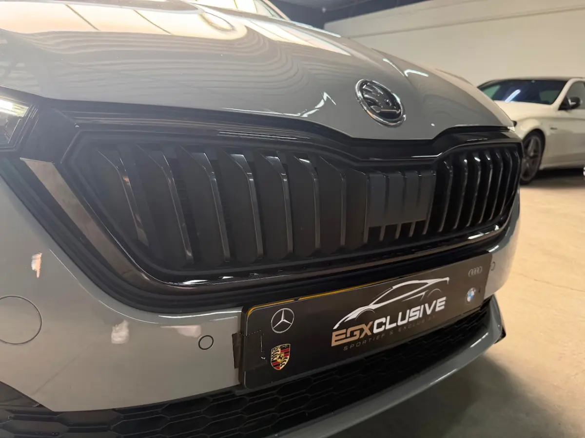 1.5 TSI Business Edition MONTE CARLO|ACC|CRYSTAL LIGHTING|GLAZEN DAK|PDC|