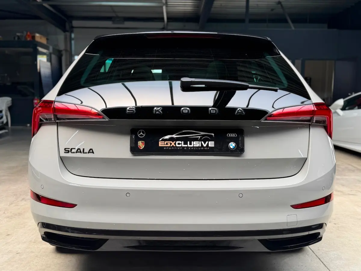 1.5 TSI Business Edition MONTE CARLO|ACC|CRYSTAL LIGHTING|GLAZEN DAK|PDC|