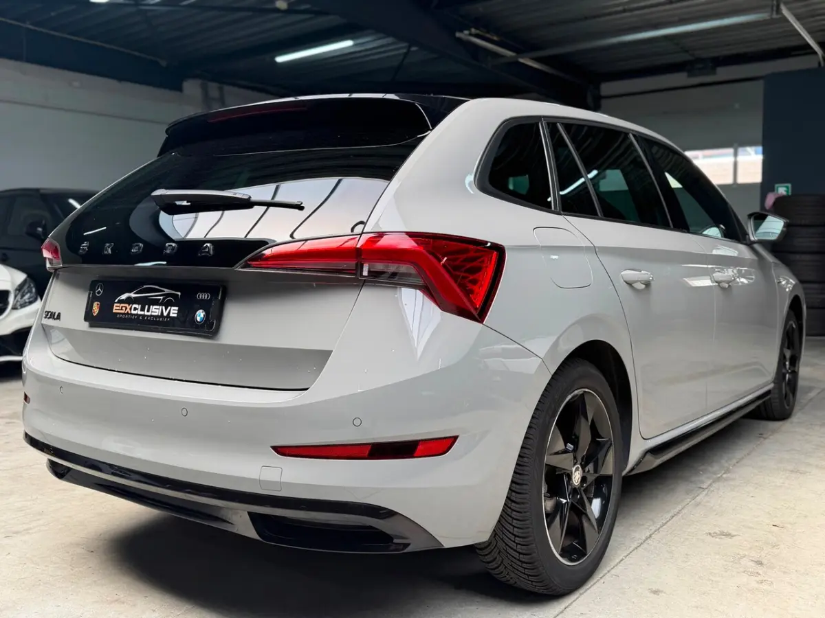 1.5 TSI Business Edition MONTE CARLO|ACC|CRYSTAL LIGHTING|GLAZEN DAK|PDC|