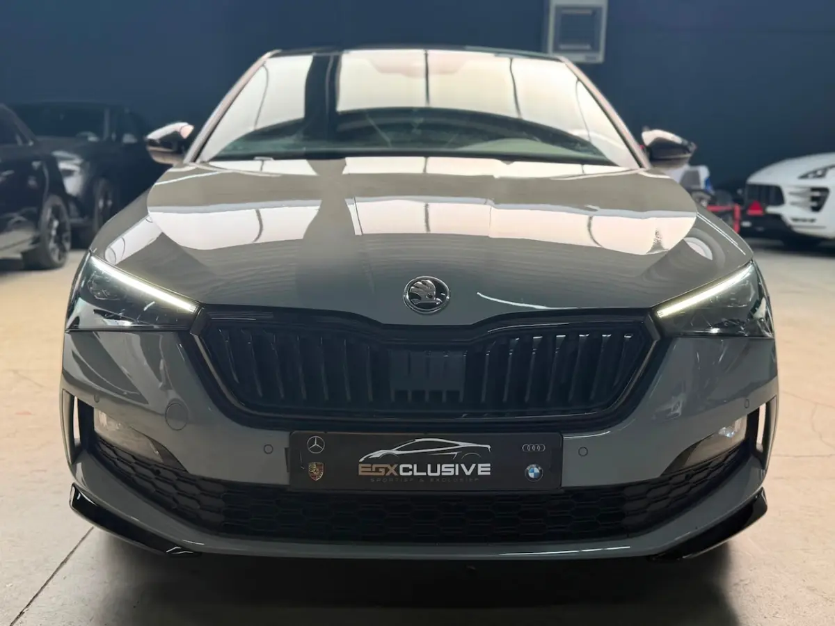 1.5 TSI Business Edition MONTE CARLO|ACC|CRYSTAL LIGHTING|GLAZEN DAK|PDC|