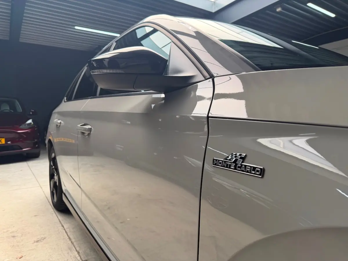 1.5 TSI Business Edition MONTE CARLO|ACC|CRYSTAL LIGHTING|GLAZEN DAK|PDC|
