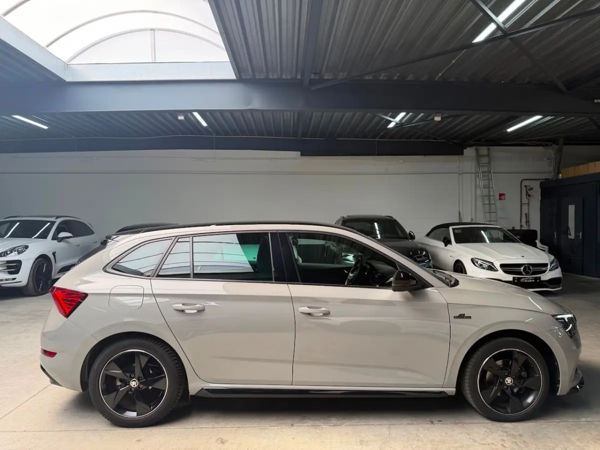 1.5 TSI Business Edition MONTE CARLO|ACC|CRYSTAL LIGHTING|GLAZEN DAK|PDC|