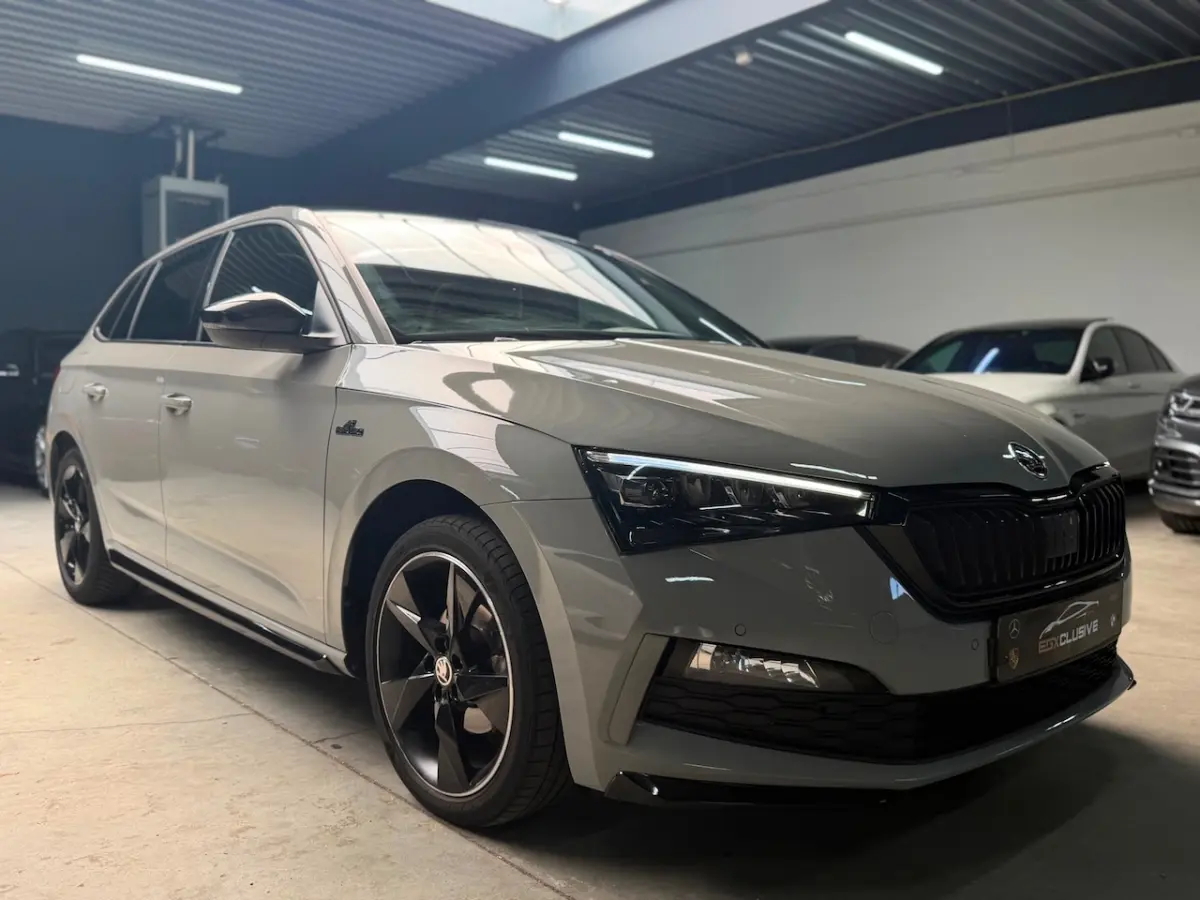 1.5 TSI Business Edition MONTE CARLO|ACC|CRYSTAL LIGHTING|GLAZEN DAK|PDC|