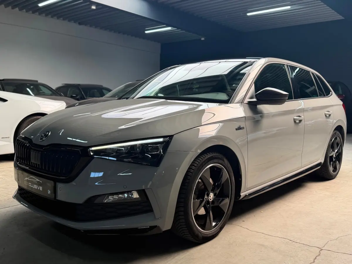 1.5 TSI Business Edition MONTE CARLO|ACC|CRYSTAL LIGHTING|GLAZEN DAK|PDC|
