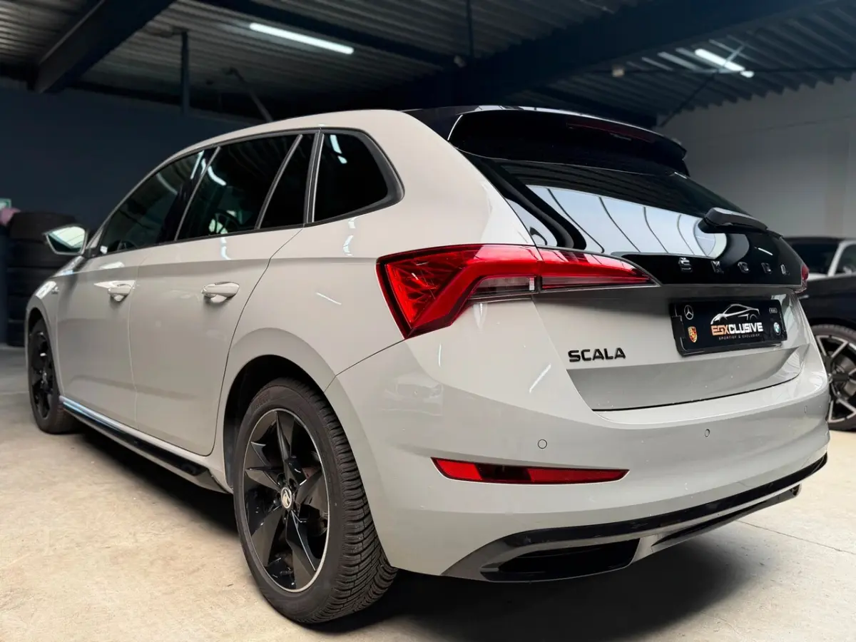 1.5 TSI Business Edition MONTE CARLO|ACC|CRYSTAL LIGHTING|GLAZEN DAK|PDC|