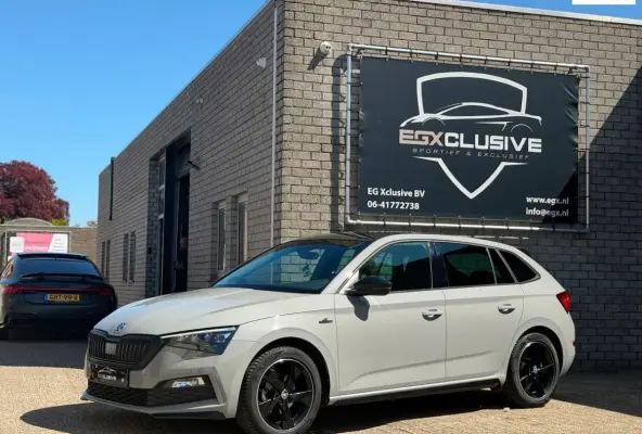 1.5 TSI Business Edition MONTE CARLO|ACC|CRYSTAL LIGHTING|GLAZEN DAK|PDC|