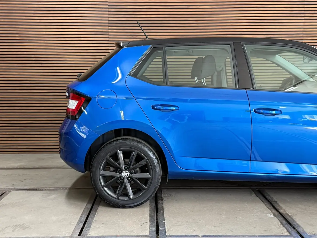 1.0 TSI Monte Carlo