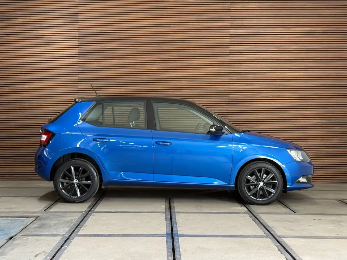 1.0 TSI Monte Carlo