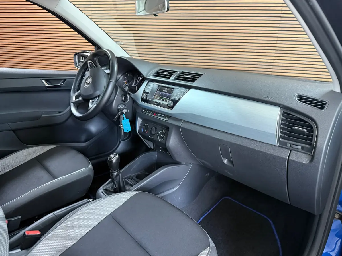 1.0 TSI Monte Carlo