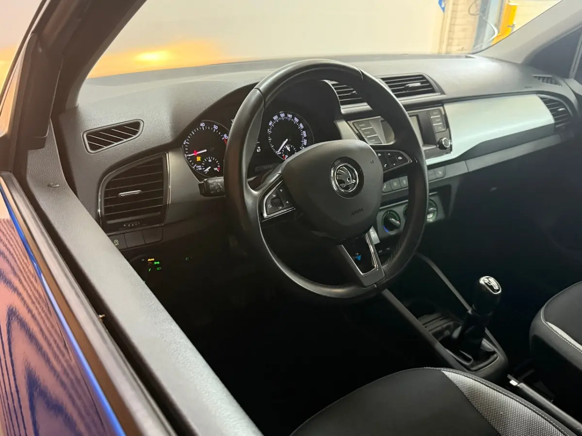 1.0 TSI Monte Carlo