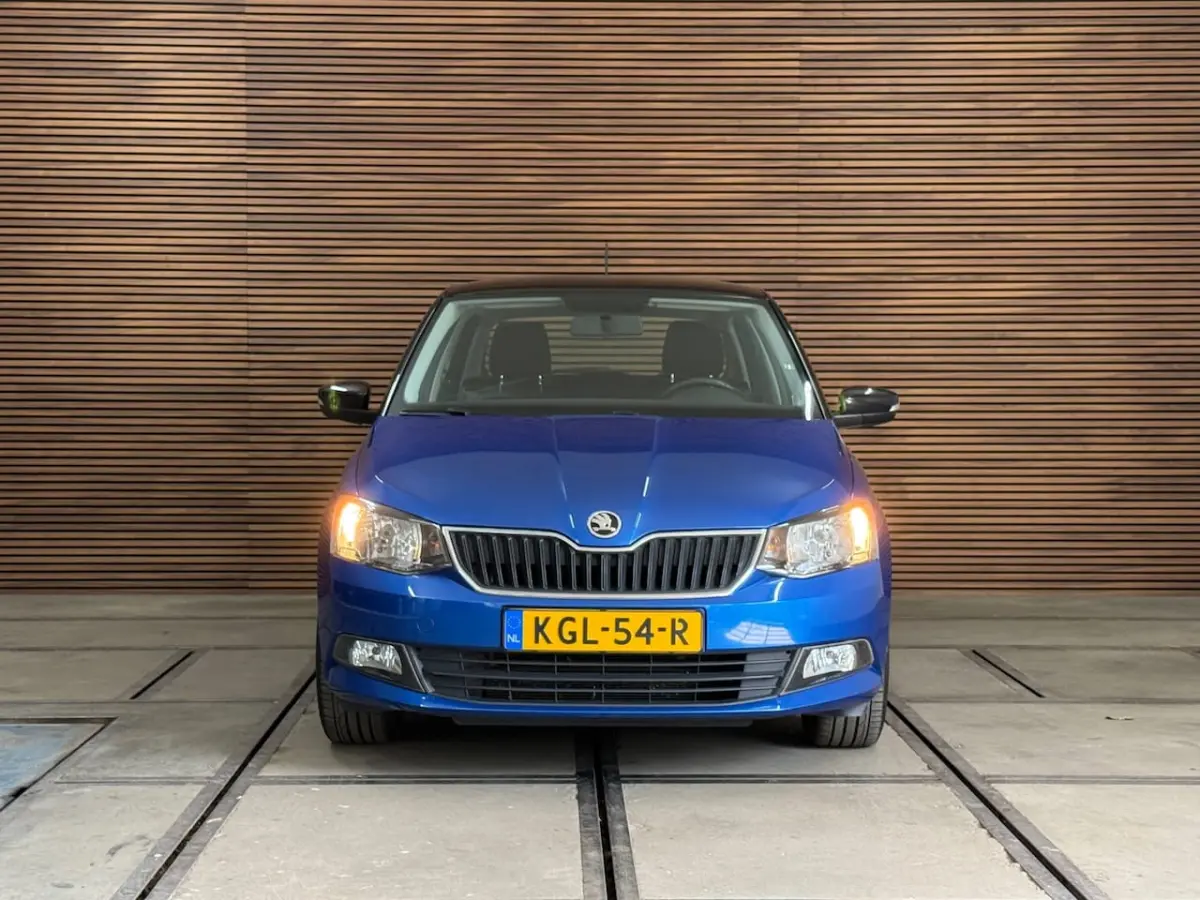 1.0 TSI Monte Carlo