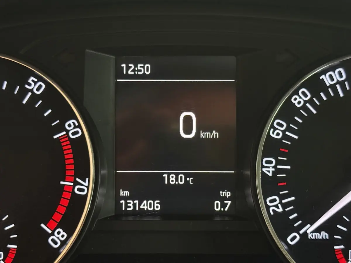 1.0 TSI Monte Carlo