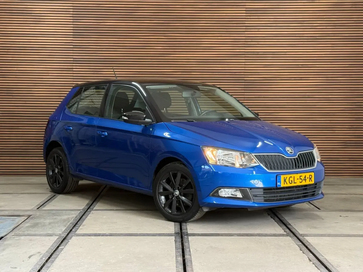 1.0 TSI Monte Carlo