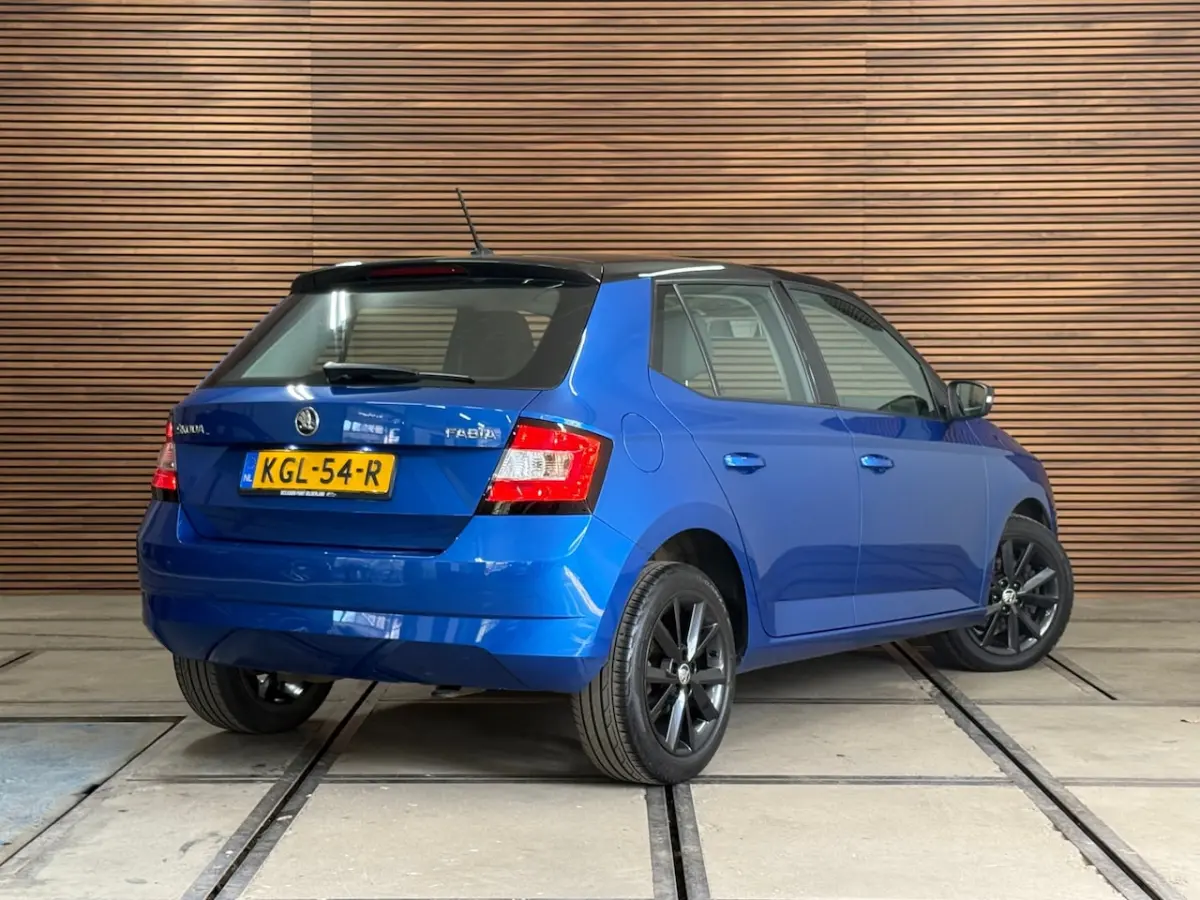 1.0 TSI Monte Carlo