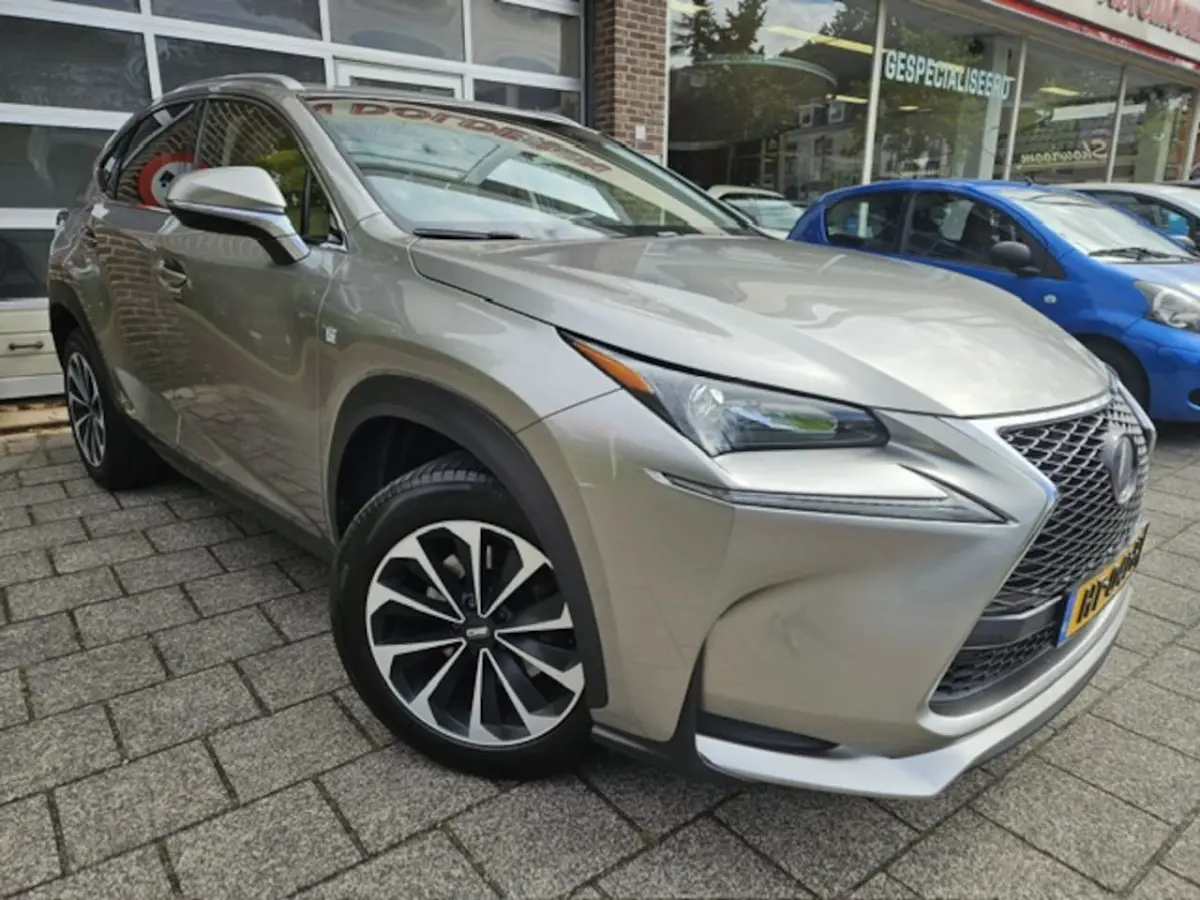 300h 25th Edition NL auto