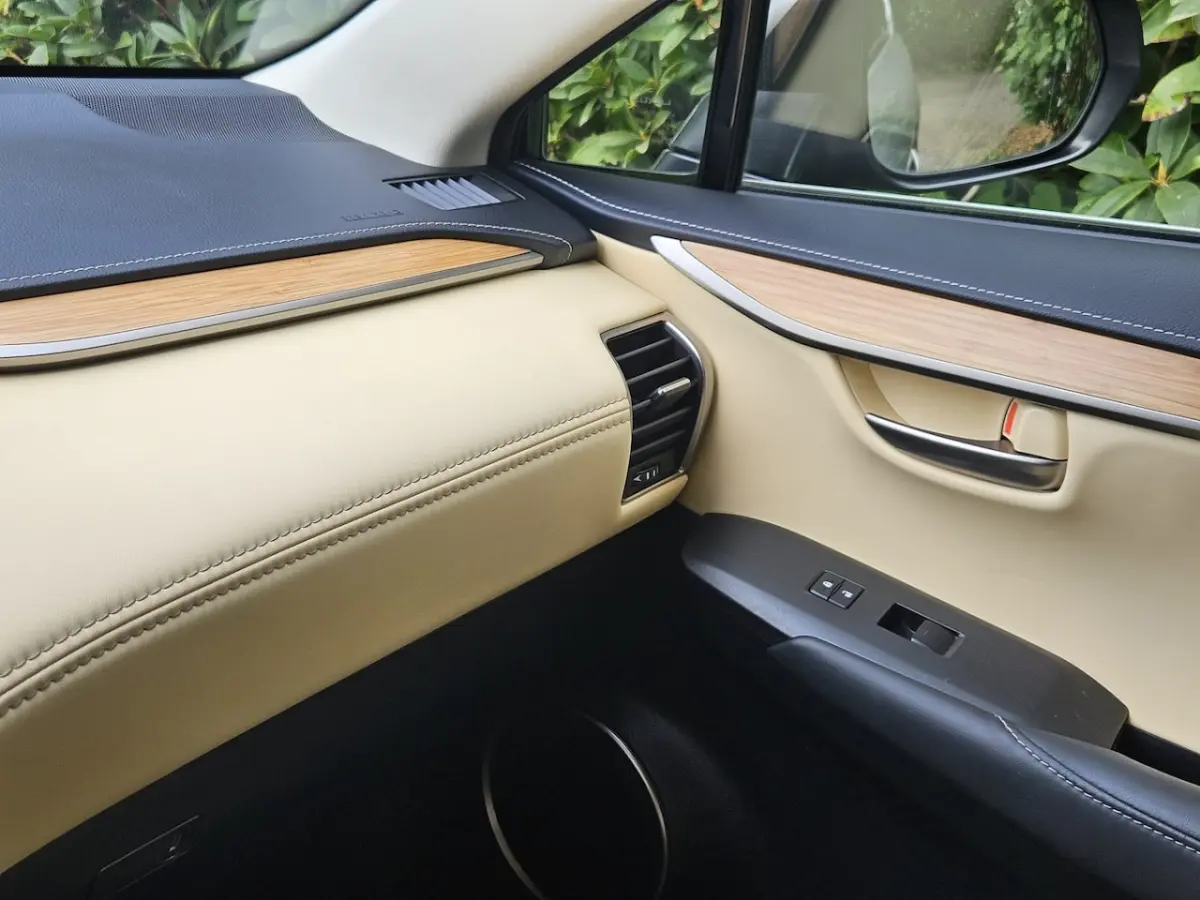 300h 25th Edition NL auto