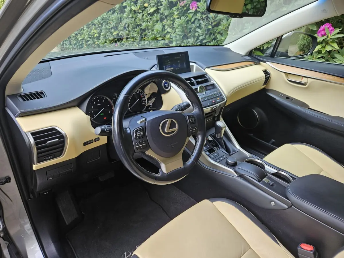 300h 25th Edition NL auto