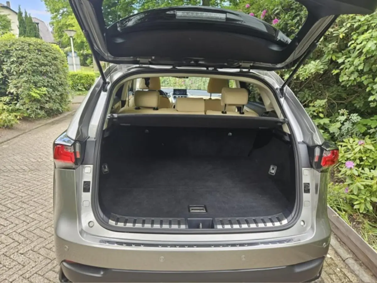 300h 25th Edition NL auto