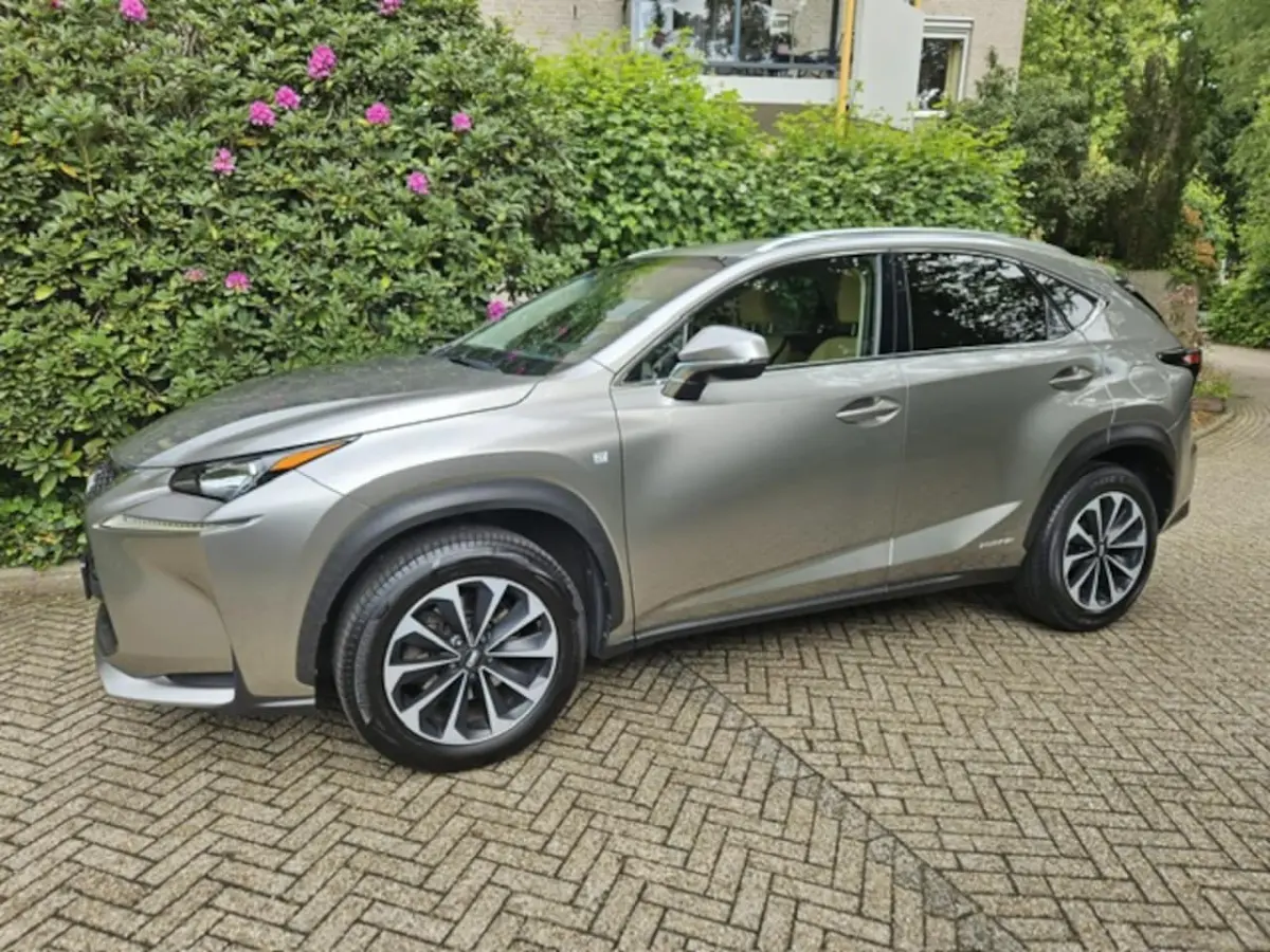 300h 25th Edition NL auto