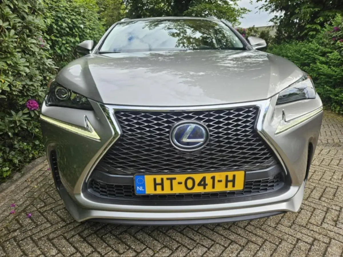 300h 25th Edition NL auto