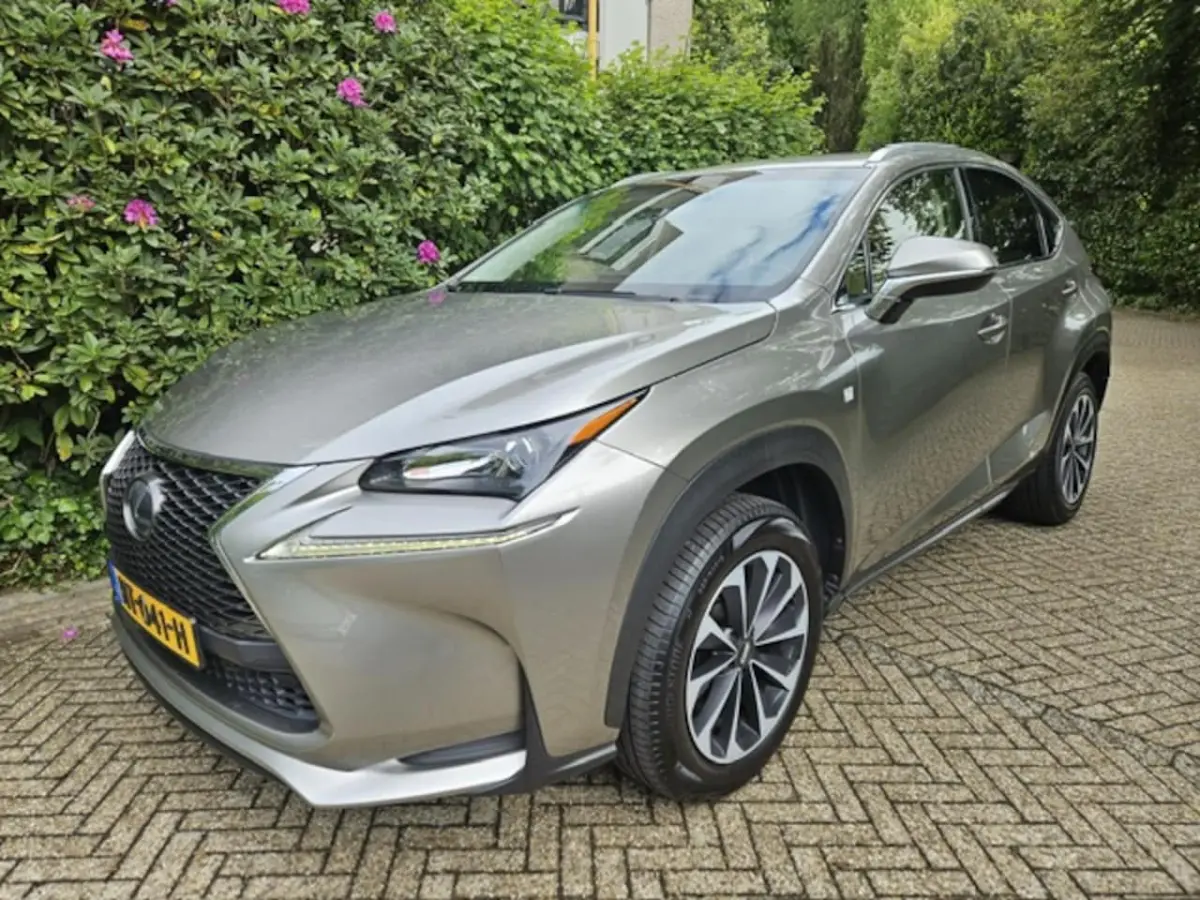 300h 25th Edition NL auto