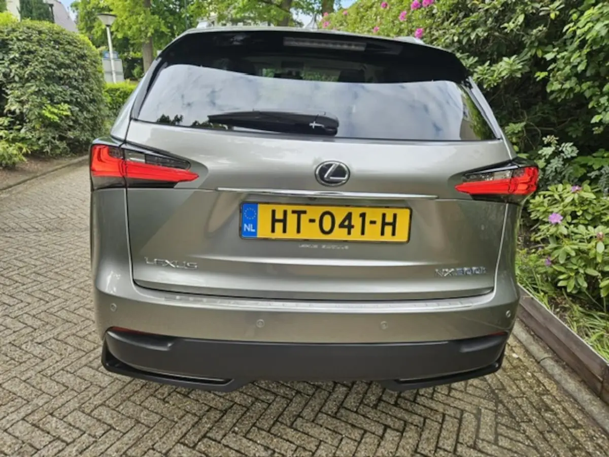 300h 25th Edition NL auto