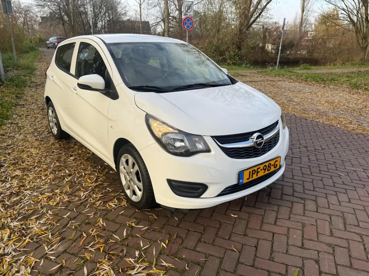 1.0 ecoFLEX Edition 1 Eig. b.j. 1-2017 Airco 80000 km