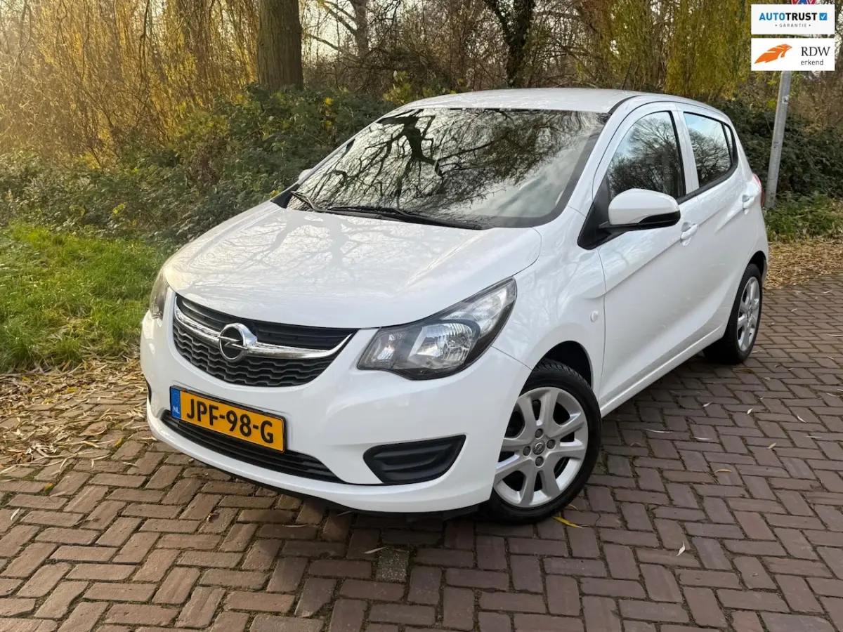 1.0 ecoFLEX Edition 1 Eig. b.j. 1-2017 Airco 80000 km