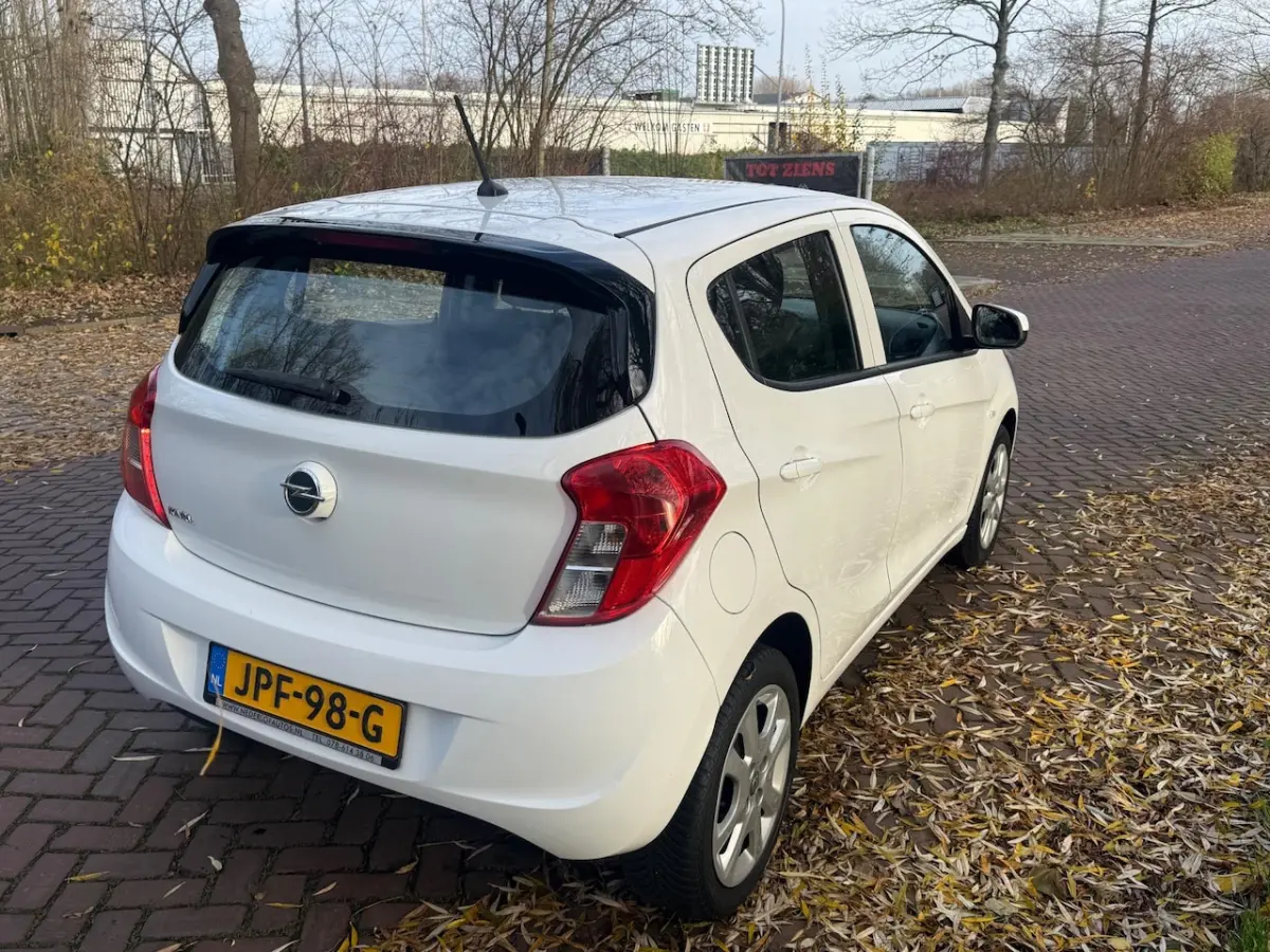 1.0 ecoFLEX Edition 1 Eig. b.j. 1-2017 Airco 80000 km