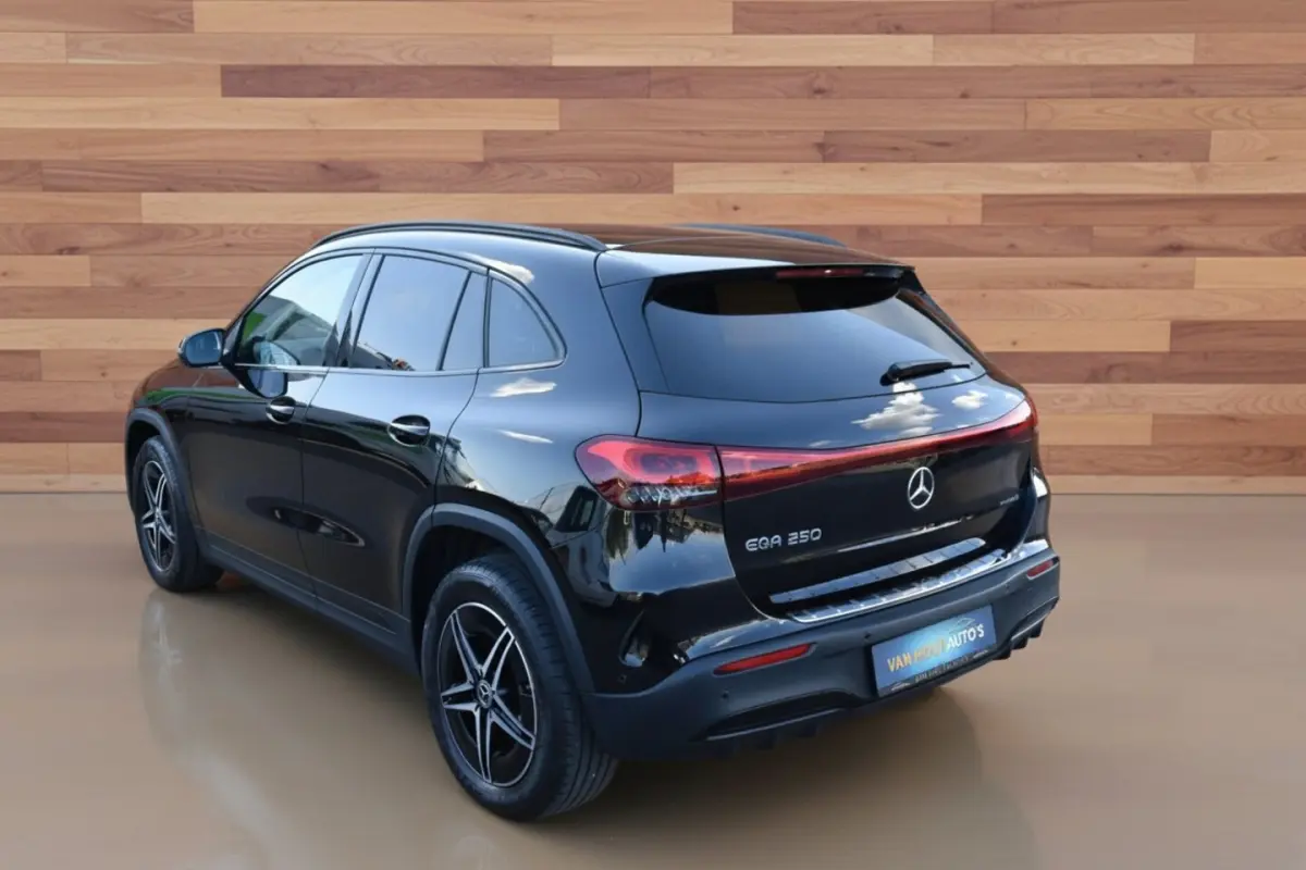 250 Business Solution AMG 67 kWh