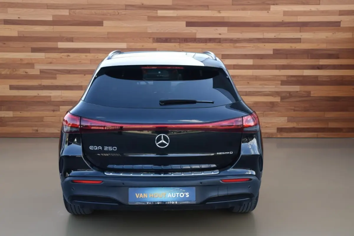 250 Business Solution AMG 67 kWh