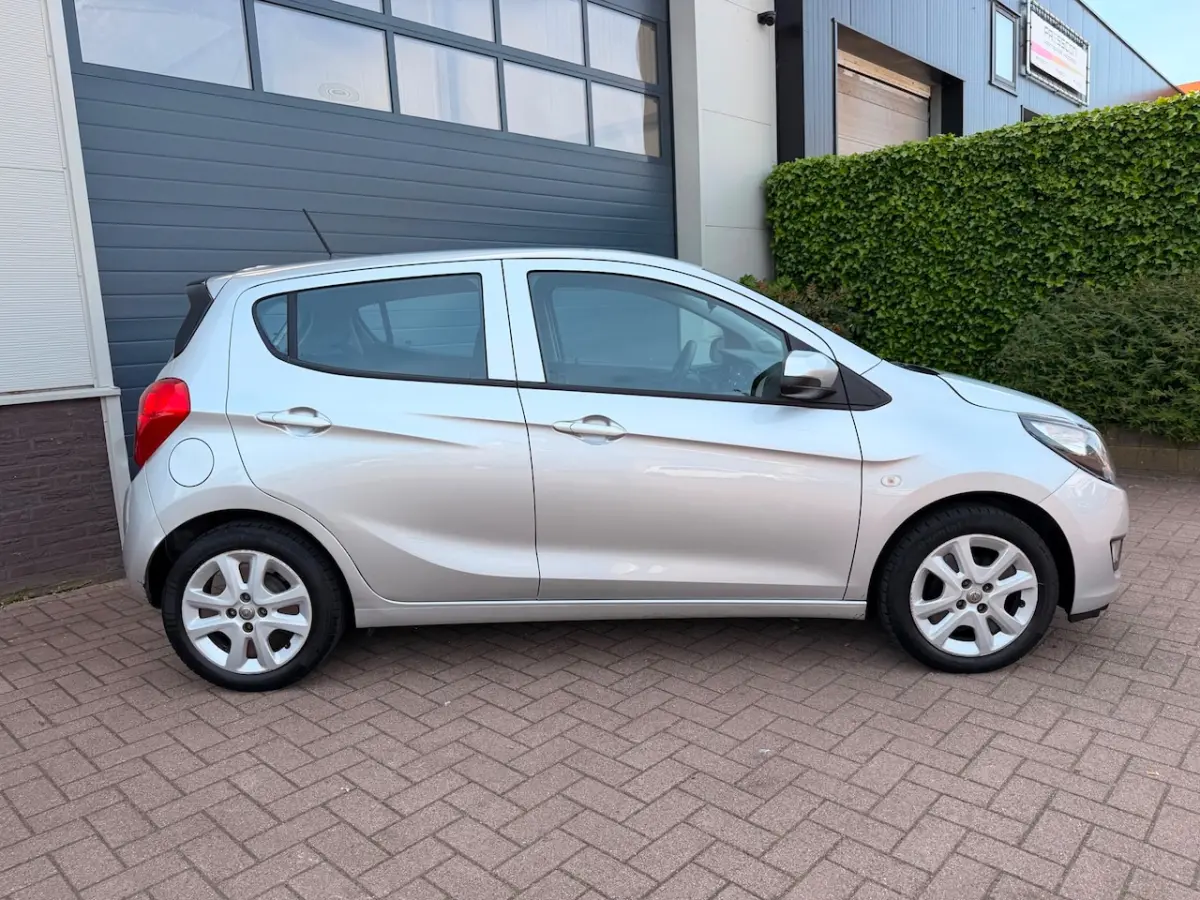 1.0 ecoFLEX Edition/Cruise-c/Airco/PDC/Volledig-onderhouden/Elek-pakket