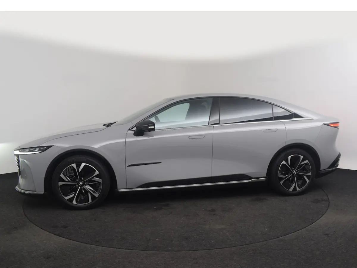 80 kWh Takumi Business Edition | 360Â° View Monitor | Alarmsysteem (geen certificering) | C