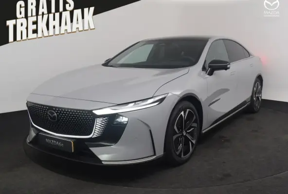 80 kWh Takumi Business Edition | 360Â° View Monitor | Alarmsysteem (geen certificering) | C