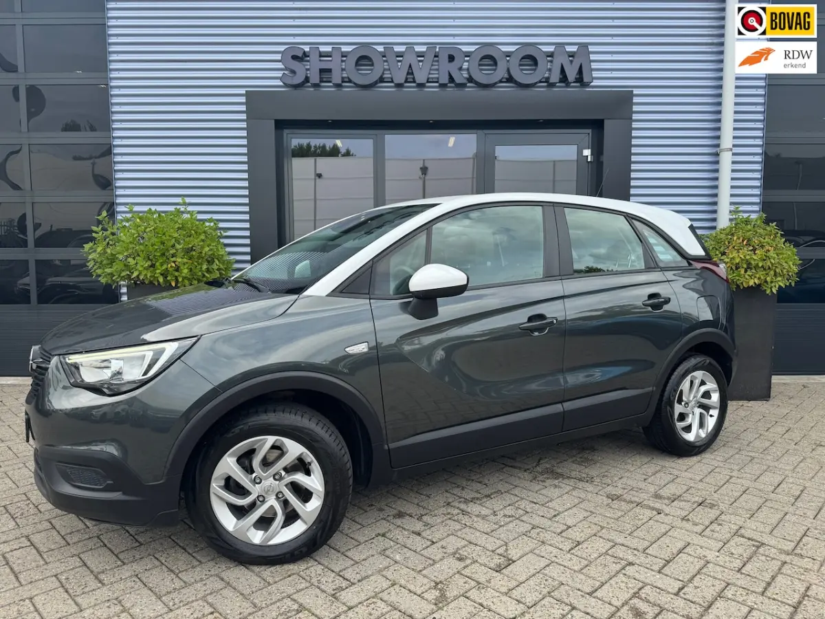 1.2 Turbo Automaat|Apple Carpley|Cruise|Dealer onderhouden