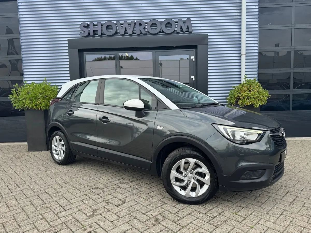 1.2 Turbo Automaat|Apple Carpley|Cruise|Dealer onderhouden