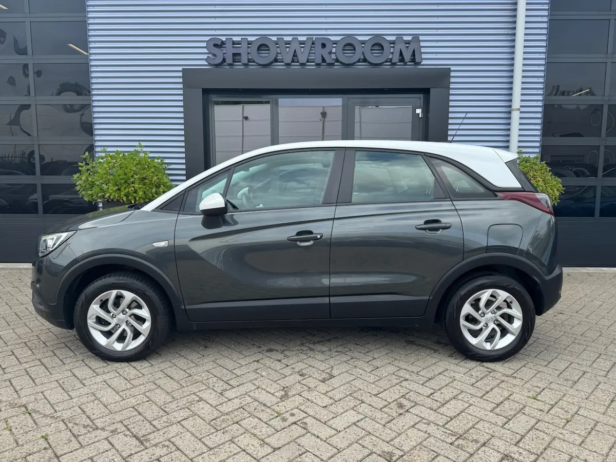 1.2 Turbo Automaat|Apple Carpley|Cruise|Dealer onderhouden