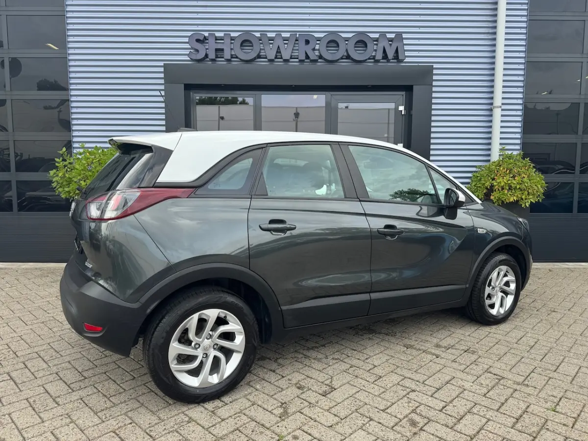1.2 Turbo Automaat|Apple Carpley|Cruise|Dealer onderhouden
