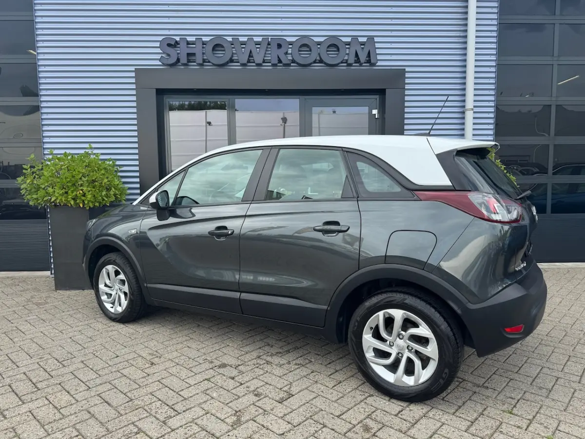 1.2 Turbo Automaat|Apple Carpley|Cruise|Dealer onderhouden