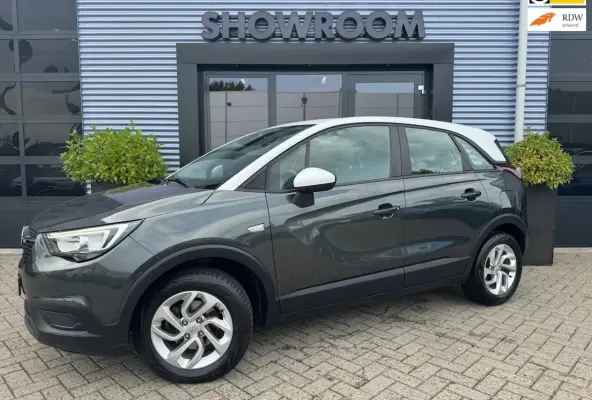 1.2 Turbo Automaat|Apple Carpley|Cruise|Dealer onderhouden