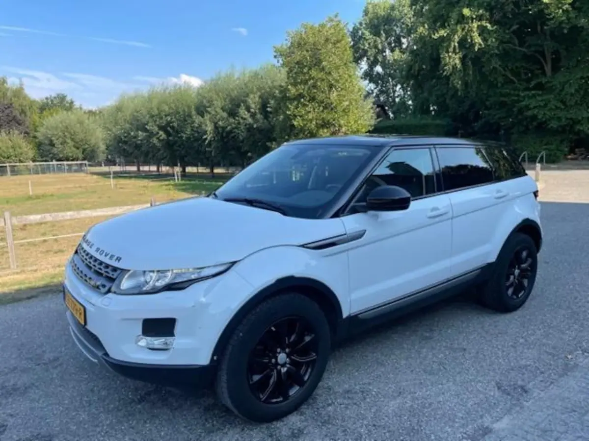 2.2 TD4 4WD Pure