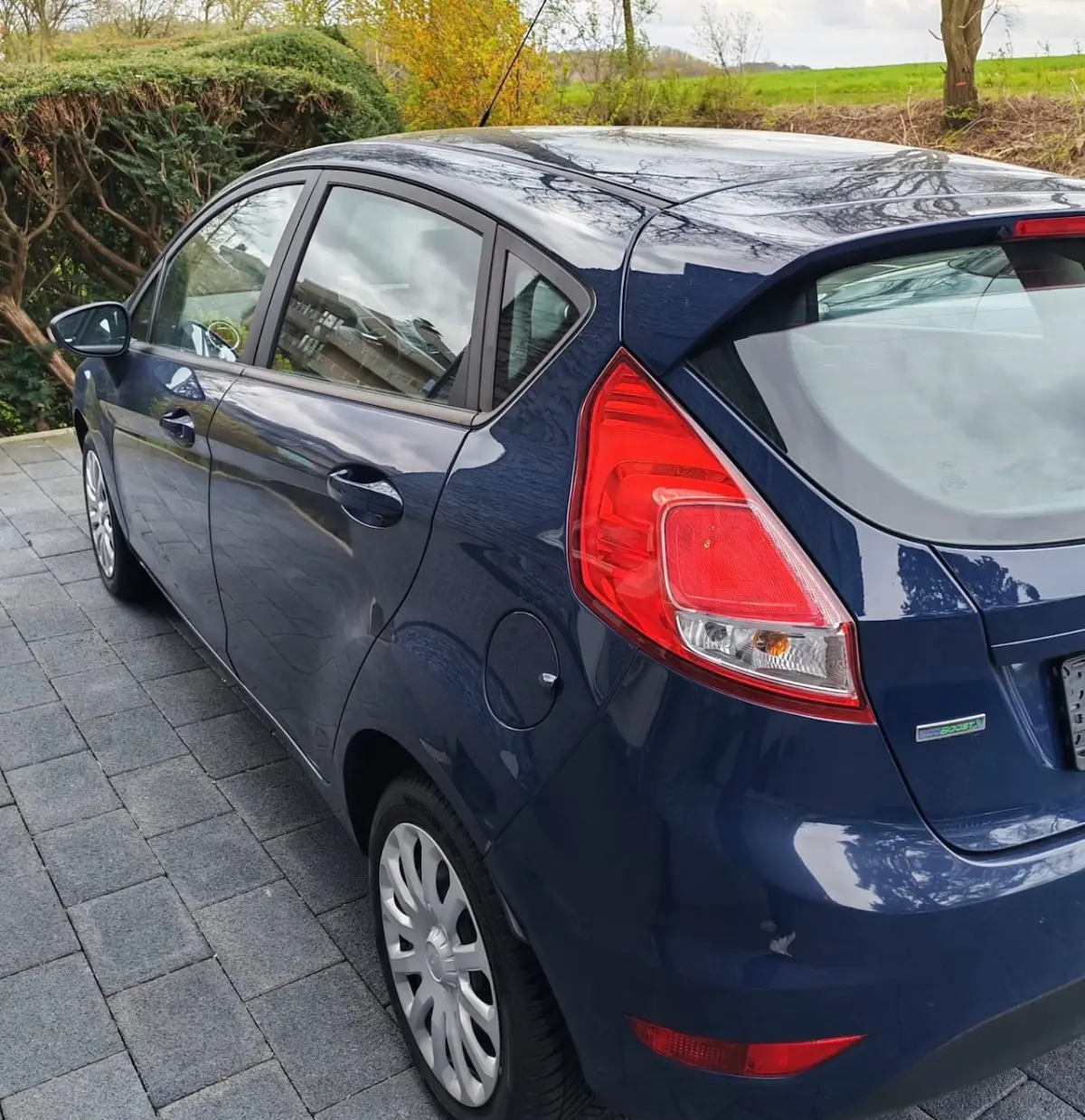 1.0 EcoBoost