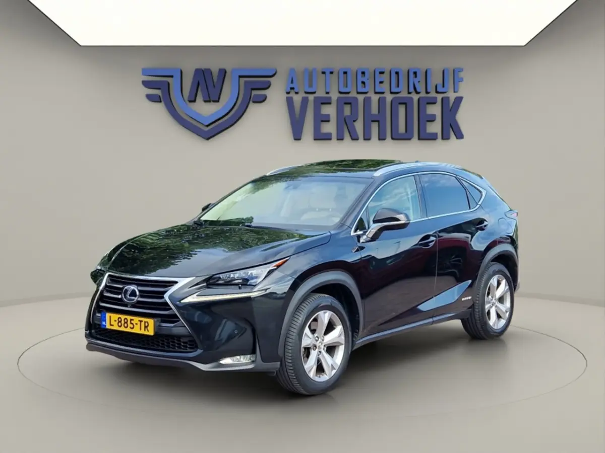 300h AWD President Line - Mark Levinson - Schuifdak