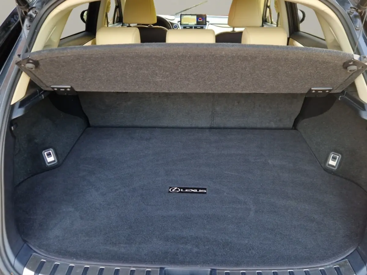 300h AWD President Line - Mark Levinson - Schuifdak
