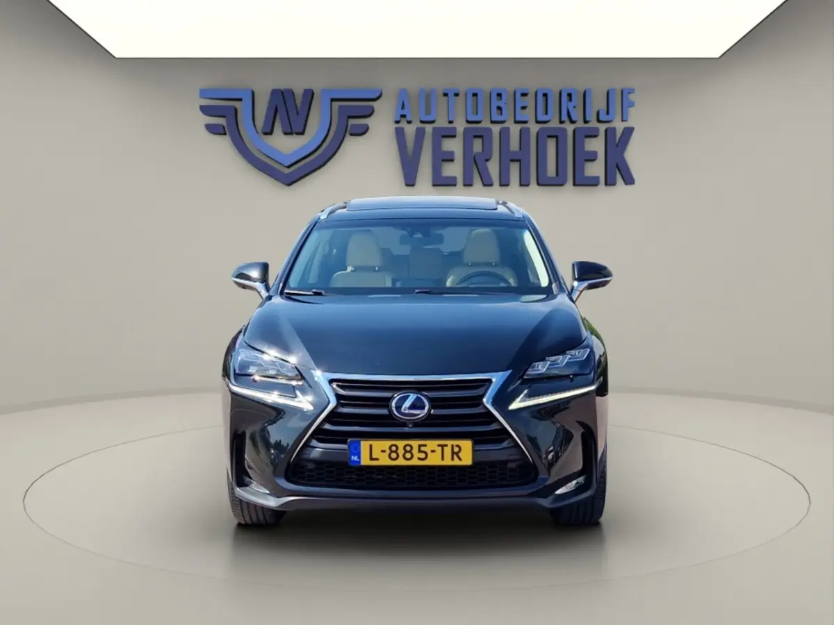 300h AWD President Line - Mark Levinson - Schuifdak
