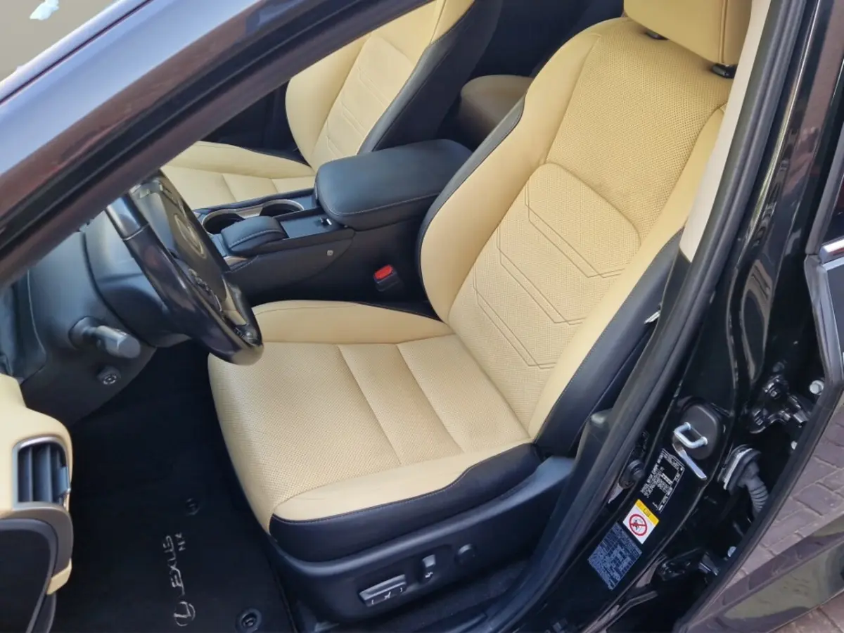 300h AWD President Line - Mark Levinson - Schuifdak