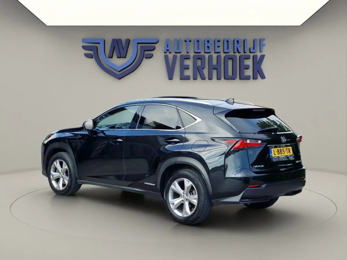300h AWD President Line - Mark Levinson - Schuifdak