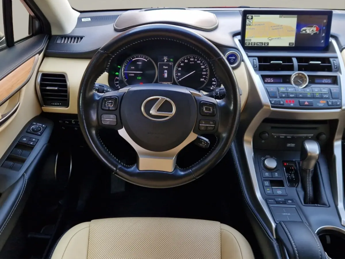 300h AWD President Line - Mark Levinson - Schuifdak