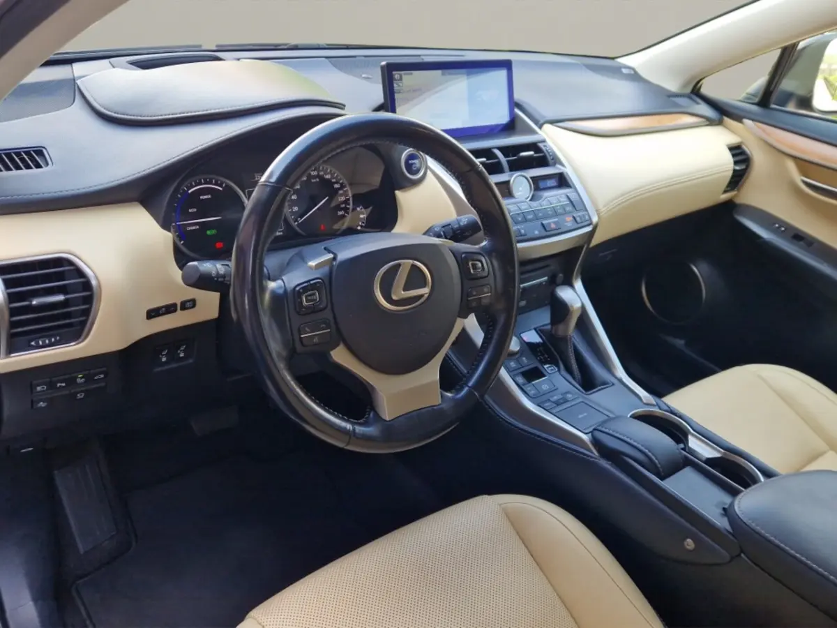 300h AWD President Line - Mark Levinson - Schuifdak